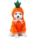Adorable Frog Hoodie for Dogs & Cats - Soft Fleece Pet Sweater thumbnail