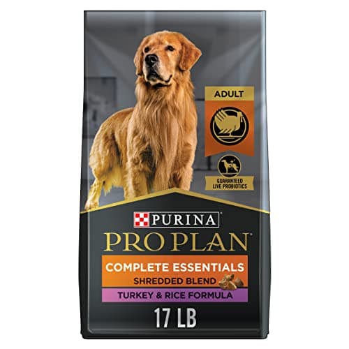 Pro Plan High Protein Turkey & Rice Dog Food with Probiotics