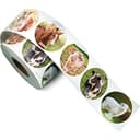 Farm Animal Stickers for Kids - 600 Realistic Sticker Roll thumbnail