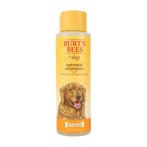 Burt's Bees Oatmeal Dog Shampoo with Honey - Soothes Dry, Itchy Skin