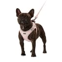 No-Escape Soft Mesh Cat Harness with Leash Set - Pink thumbnail