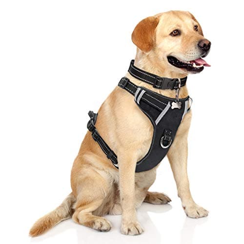 No-Pull Cat Harness with Reflective Straps & Comfort Padding