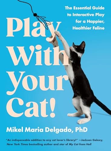 Play With Your Cat!: Essential Guide to Interactive Feline Play