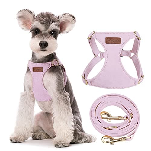 Premium No-Pull Cat Harness - Ultra-Light & Escape-Proof