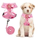 Floral No Pull Cat Harness with Leash Set - Soft & Comfortable thumbnail