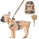 Soft Mesh Cat Harness & Leash Set - Padded No-Pull Step-In Design thumbnail