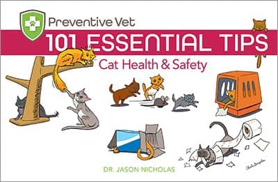 101 Essential Tips: Cat Health & Safety Guide