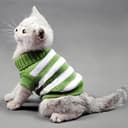 Striped Turtleneck Cat Sweater - Soft, Stretchy & Warm thumbnail