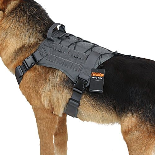 Tactical Cat Harness with Handle - Adjustable No-Pull Design
