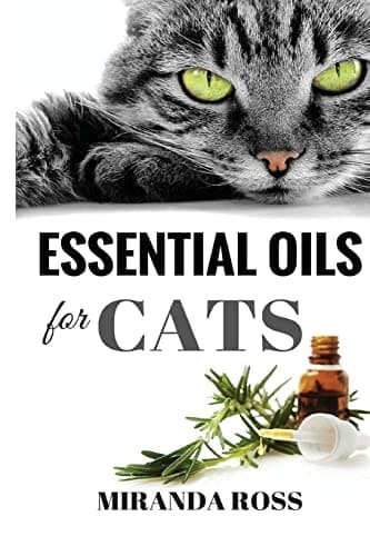 Essential Oils For Cats: Safe Natural Therapies Guide
