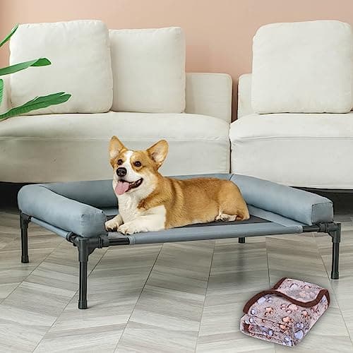 Cooling Elevated Dog Bed with Bolsters & Blanket for Medium Dogs