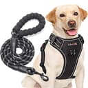 No Pull Cat Harness with Leash - Adjustable & Reflective thumbnail