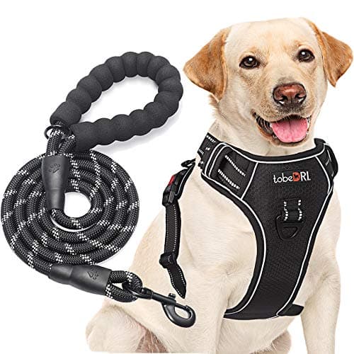 No Pull Cat Harness with Leash - Adjustable & Reflective