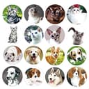 Dog & Cat Stickers for Kids - 1000 Pcs Party & Reward Pack thumbnail