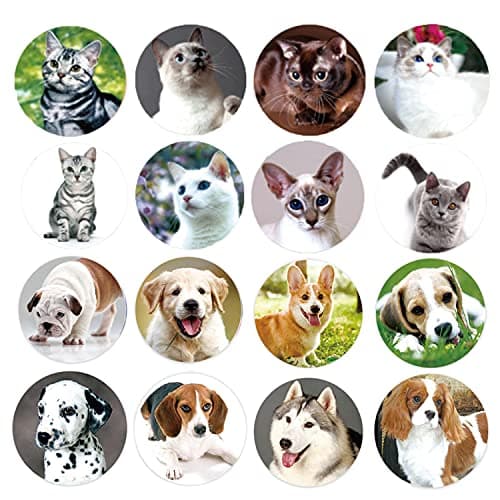 Dog & Cat Stickers for Kids - 1000 Pcs Party & Reward Pack