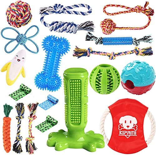 25-Piece Puppy Toy Bundle for Teething, Play & Bonding